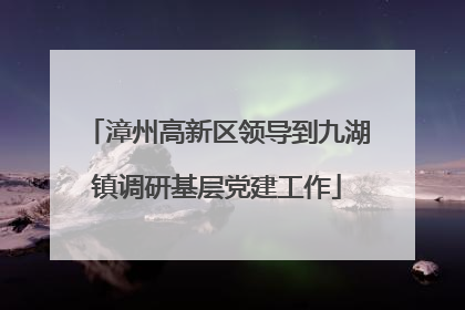 漳州高新区领导到九湖镇调研基层党建工作